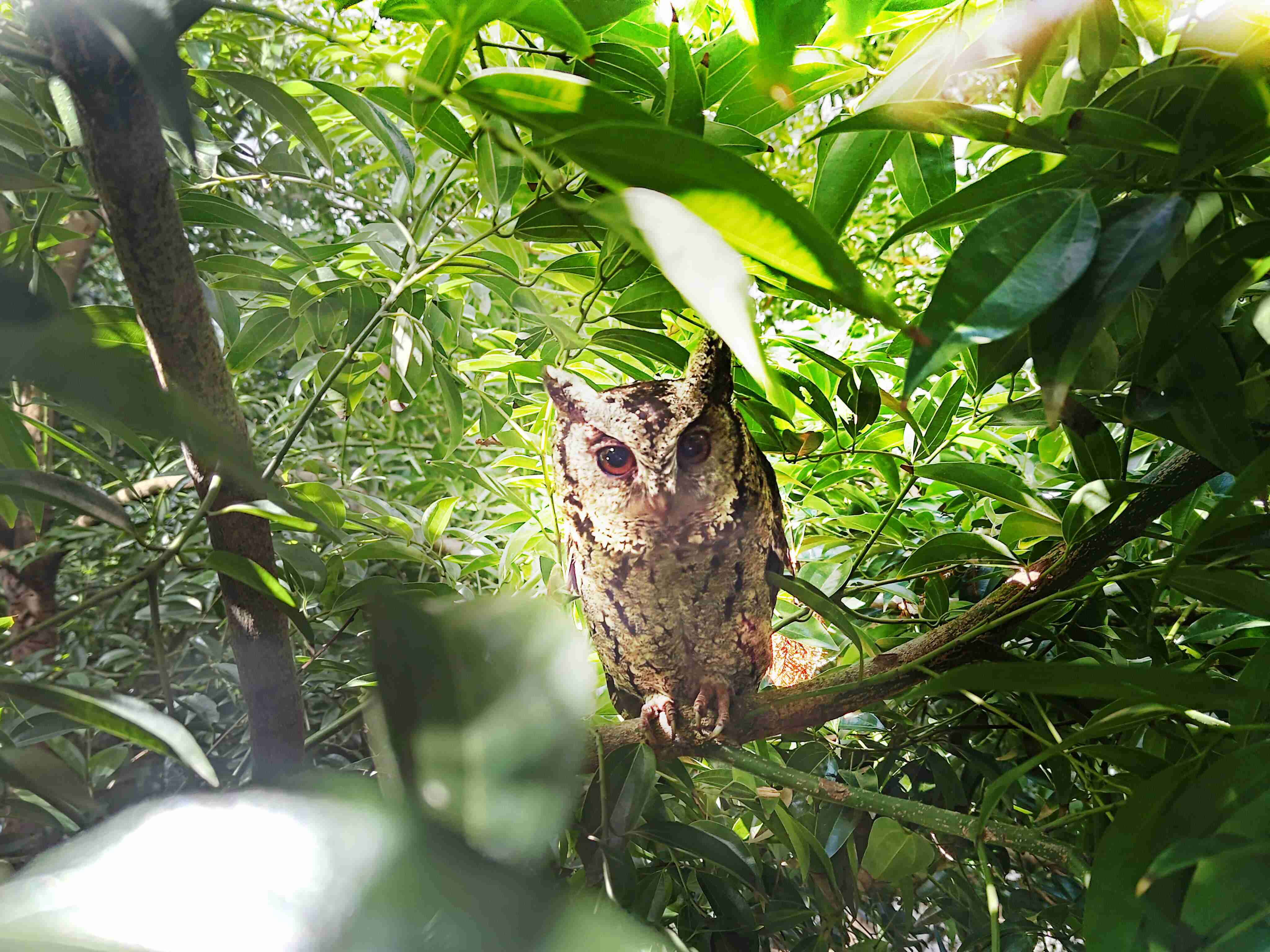 z6尊龙致力提倡净零绿生活，，16年以来在全球各厂区植树逾百万棵，，造就各厂区树木蔚然成林，，，犹如森林工厂，，，成为许多生物的栖息地